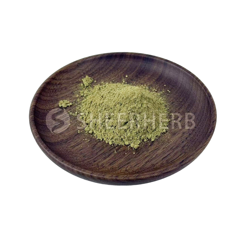 Dandelion Extract Powder Manufacturer & Suppliers - Natural Sheerherb